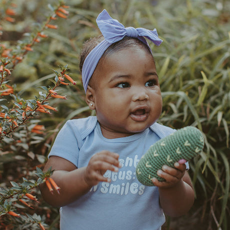 Friendly Pickle Rattle - HoneyBug 