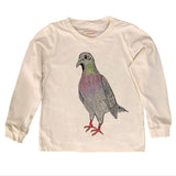 Pigeon - HoneyBug 