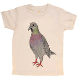 Pigeon - HoneyBug 