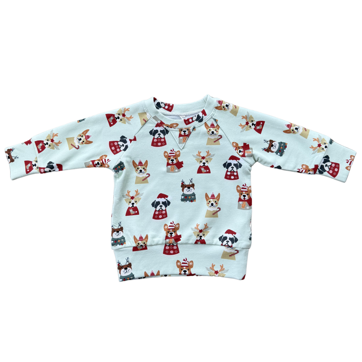 Raglan Sweatshirt - HoneyBug 