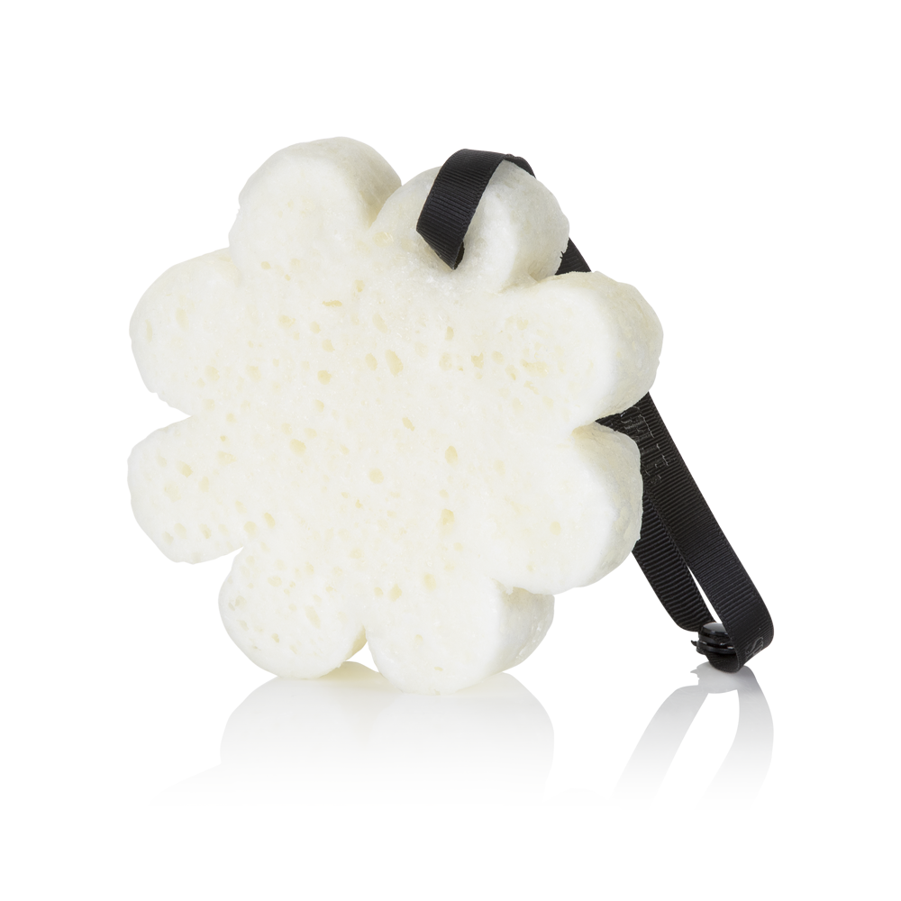 Lily of the Valley | Boxed Flower - HoneyBug 