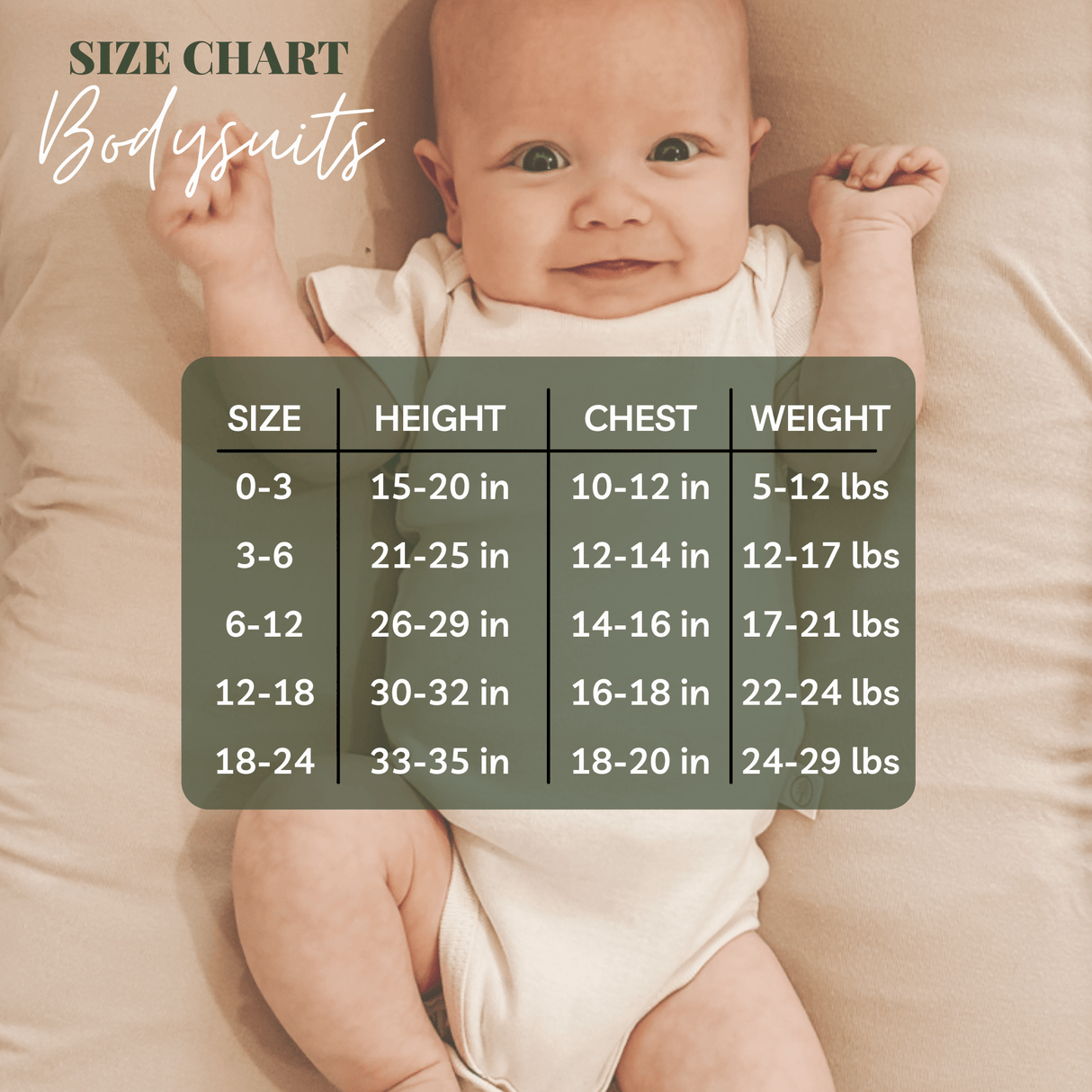 Love Bug Organic Cotton Baby Bodysuit Long Sleeve - HoneyBug 