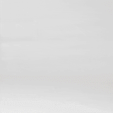 Polar Animals - HoneyBug 