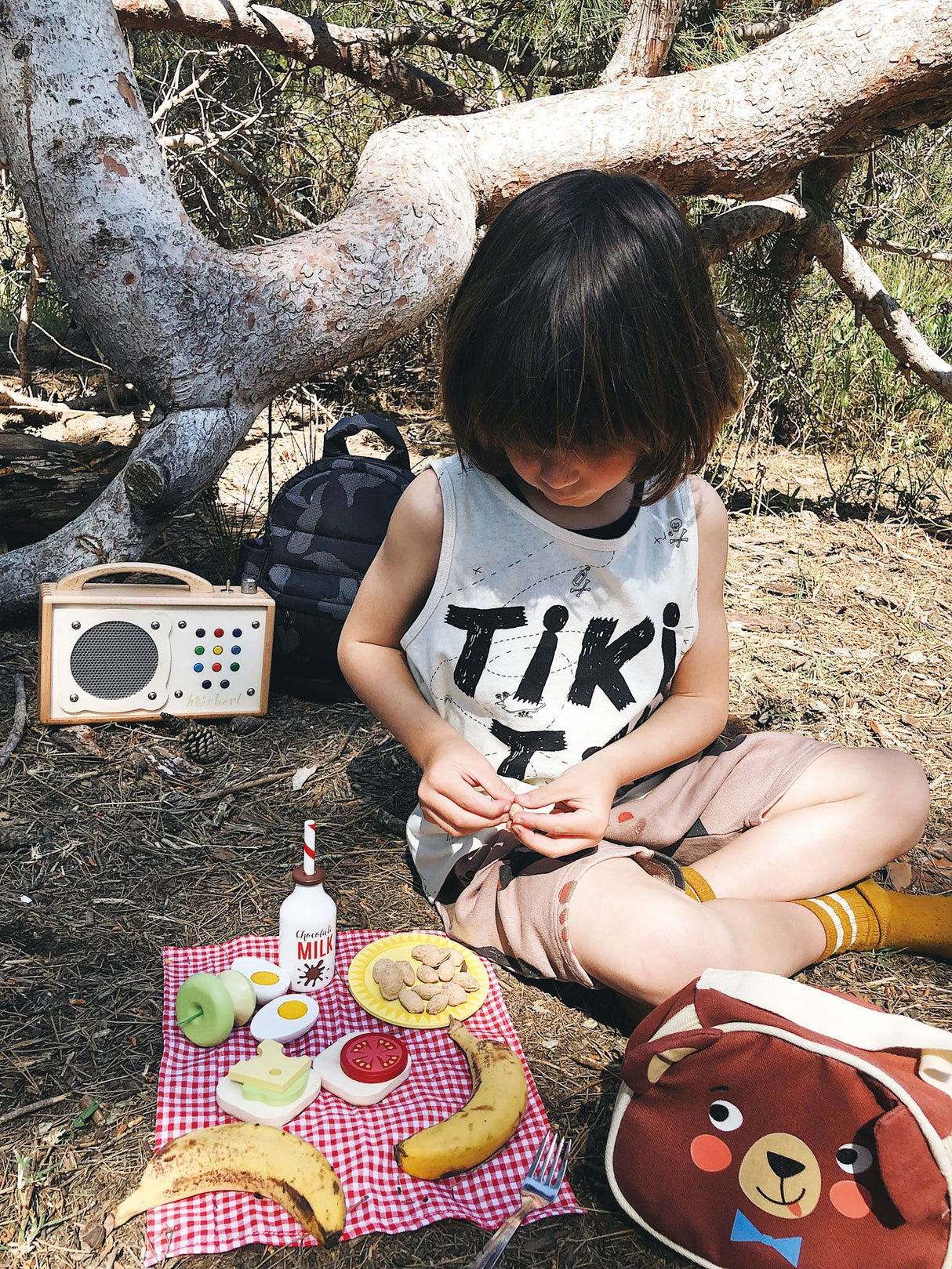 Little Bear’s Picnic - HoneyBug 