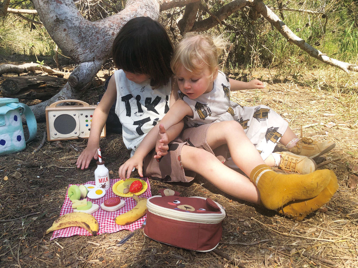 Little Bear’s Picnic - HoneyBug 