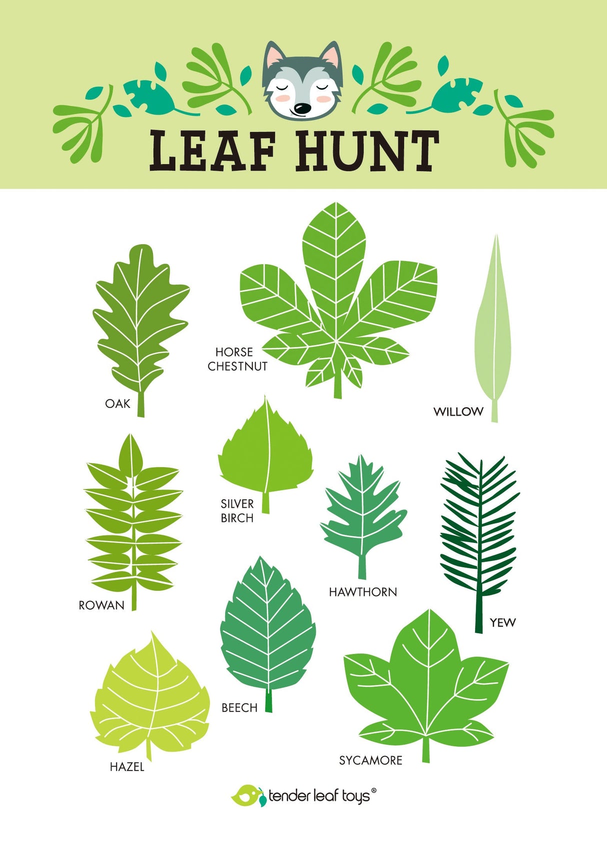Forest Trail Kit - HoneyBug 
