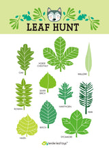 Forest Trail Kit - HoneyBug 
