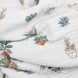 Original Cotton Muslin Quilt - Prickle Pots - HoneyBug 