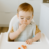 Cotton Muslin Classic Bib 3 Pack - Forest Friends - HoneyBug 