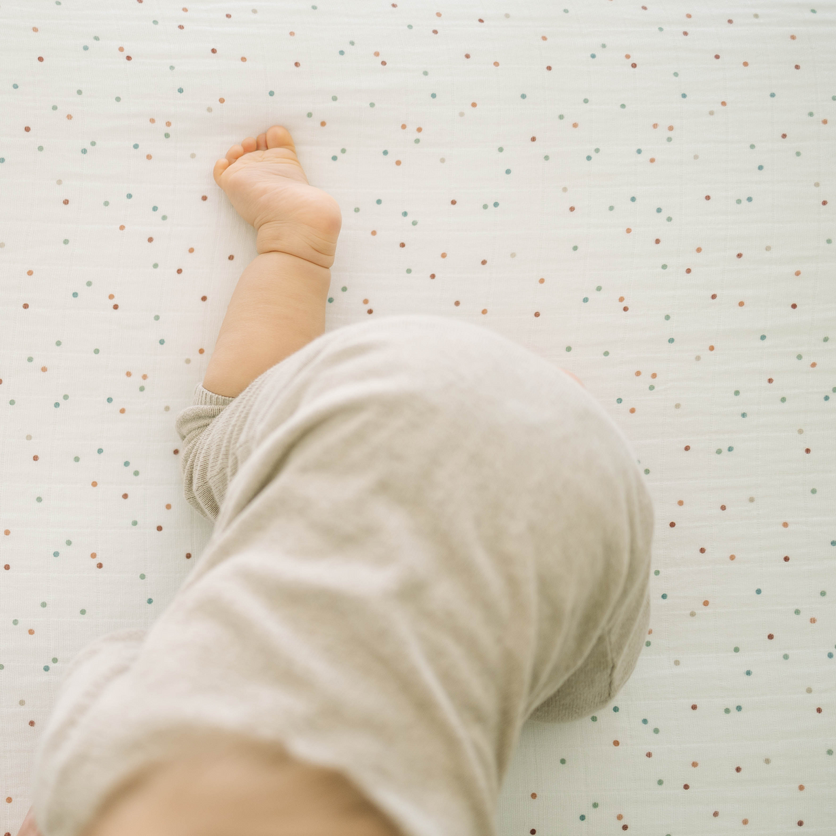 Cotton Muslin Crib Sheet - Dots - HoneyBug 