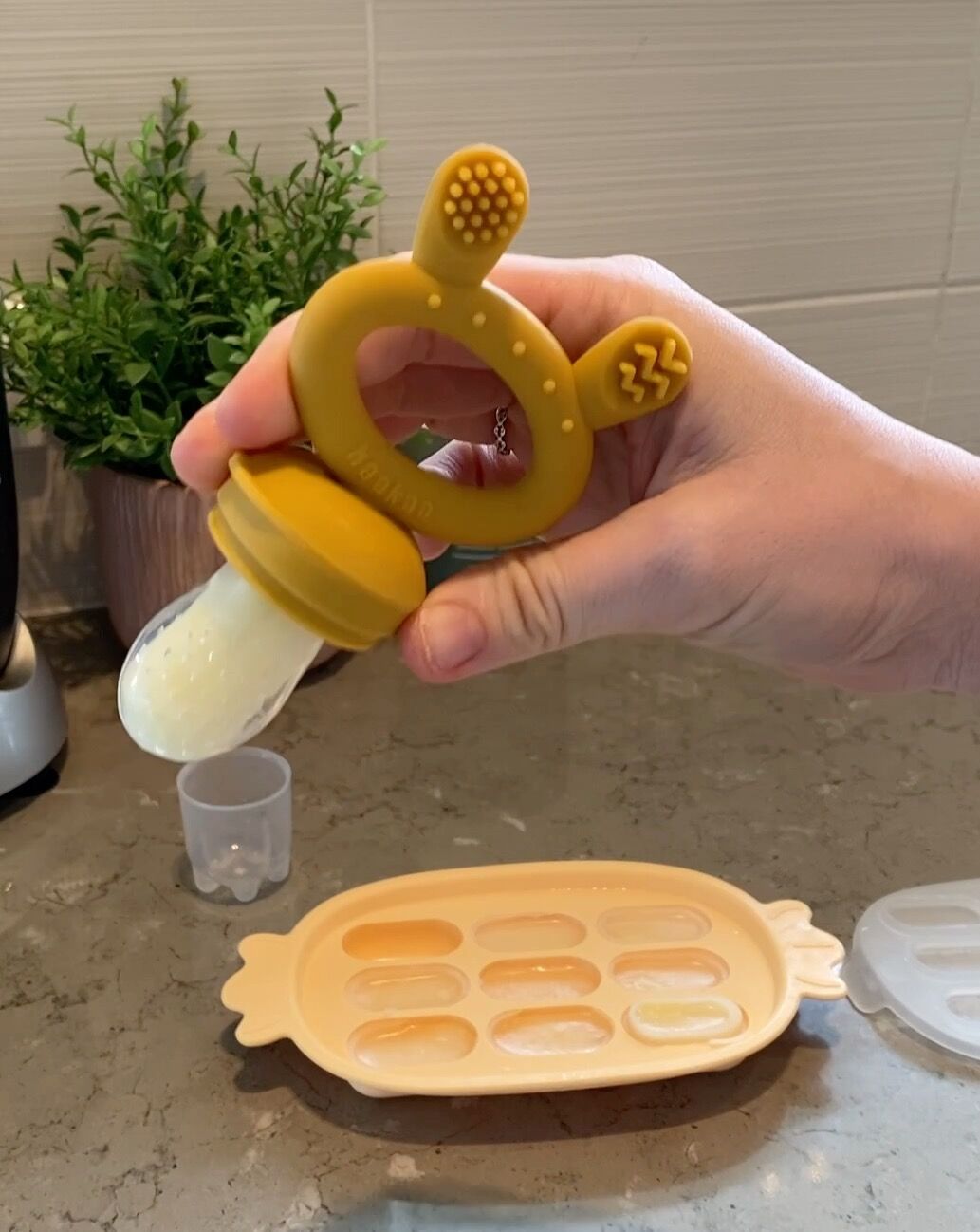 Haakaa Silicone Nibble Tray - HoneyBug 