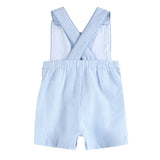 Blue Seersucker Easter Bunny Shortalls
