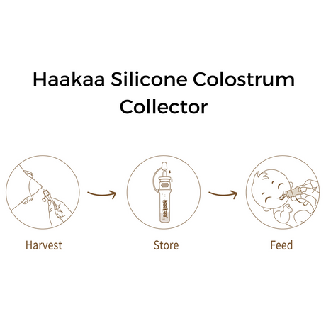 Haakaa Silicone Colostrum Collectors 4 ml, 2 PK (Pre-Sterilized) - HoneyBug 