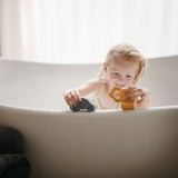 Vehicles Mold Free Bath Play Set - 4 Pack - HoneyBug 