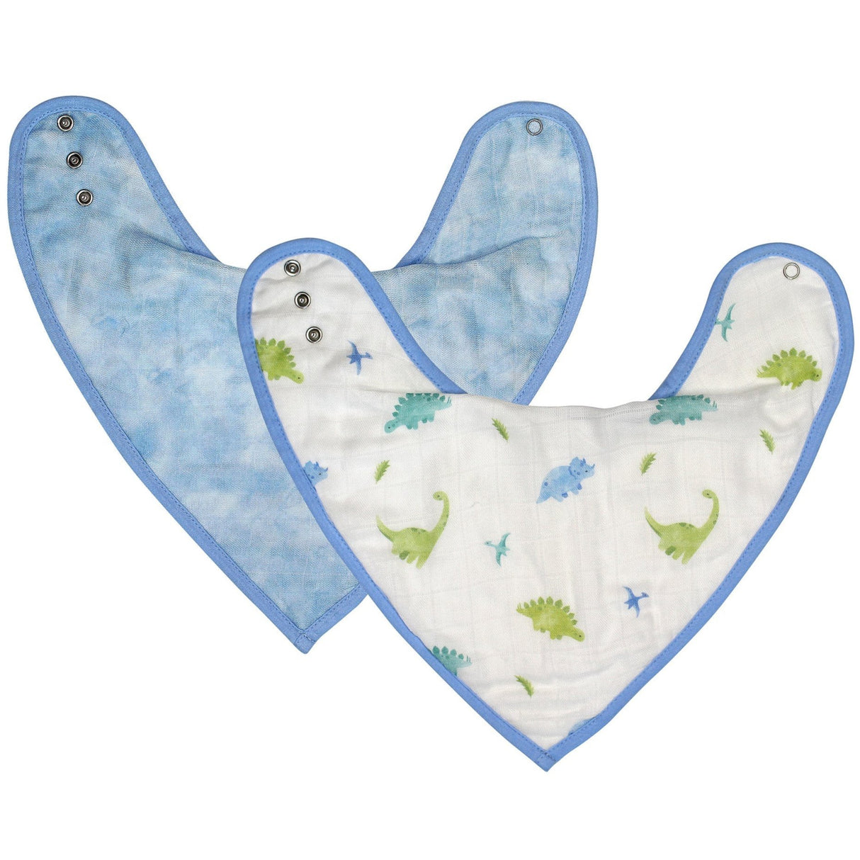 Dinosaur Bib Set - HoneyBug 