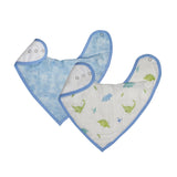 Dinosaur Bib Set - HoneyBug 