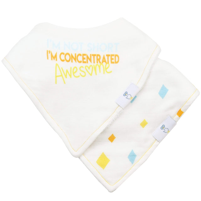 Awesome and Diamonds 2 PK Muslin & Terry Cloth Bib Set - HoneyBug 