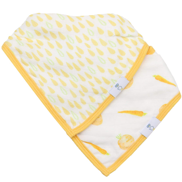 Carrots and Shapes Orange 2 Pack Muslin & Terry Cloth Bib Set - HoneyBug 
