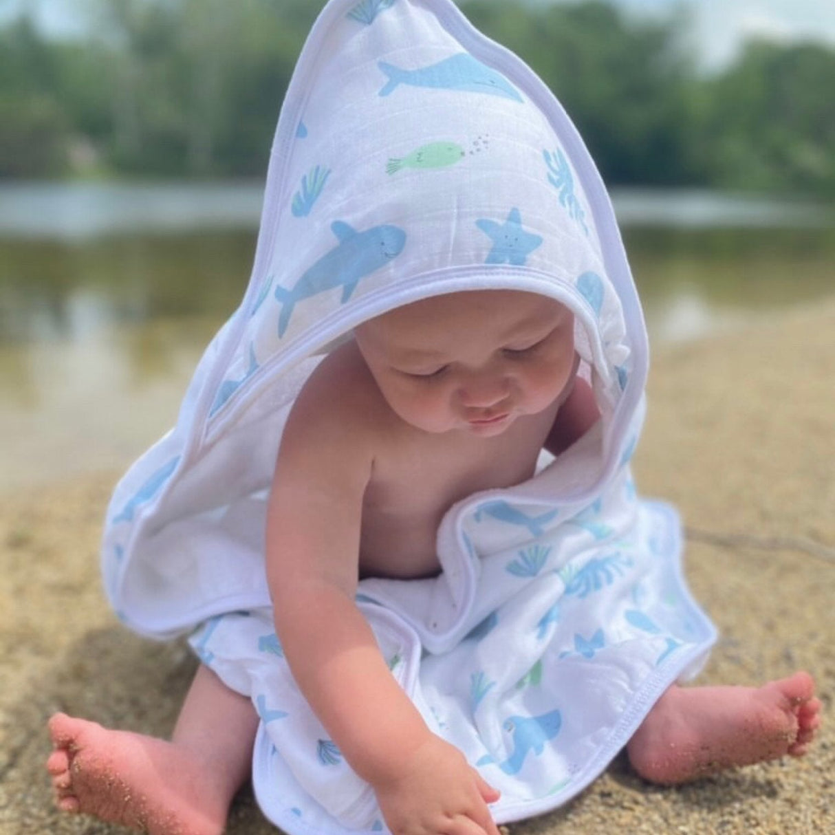 Hooded Towel - Cookie Craze - HoneyBug 