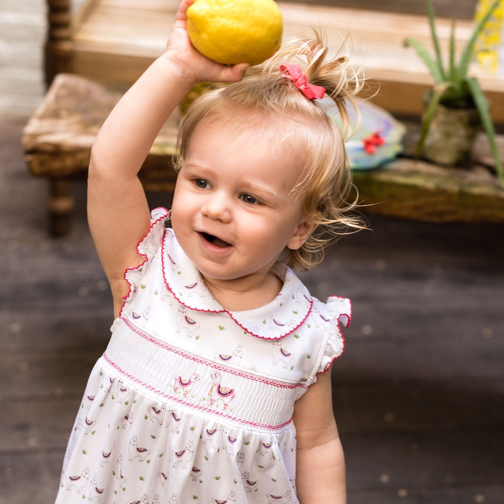 Alex the Alpaca Smocked Dress - HoneyBug 