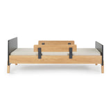 Fun Bed - Twin Bed - HoneyBug 