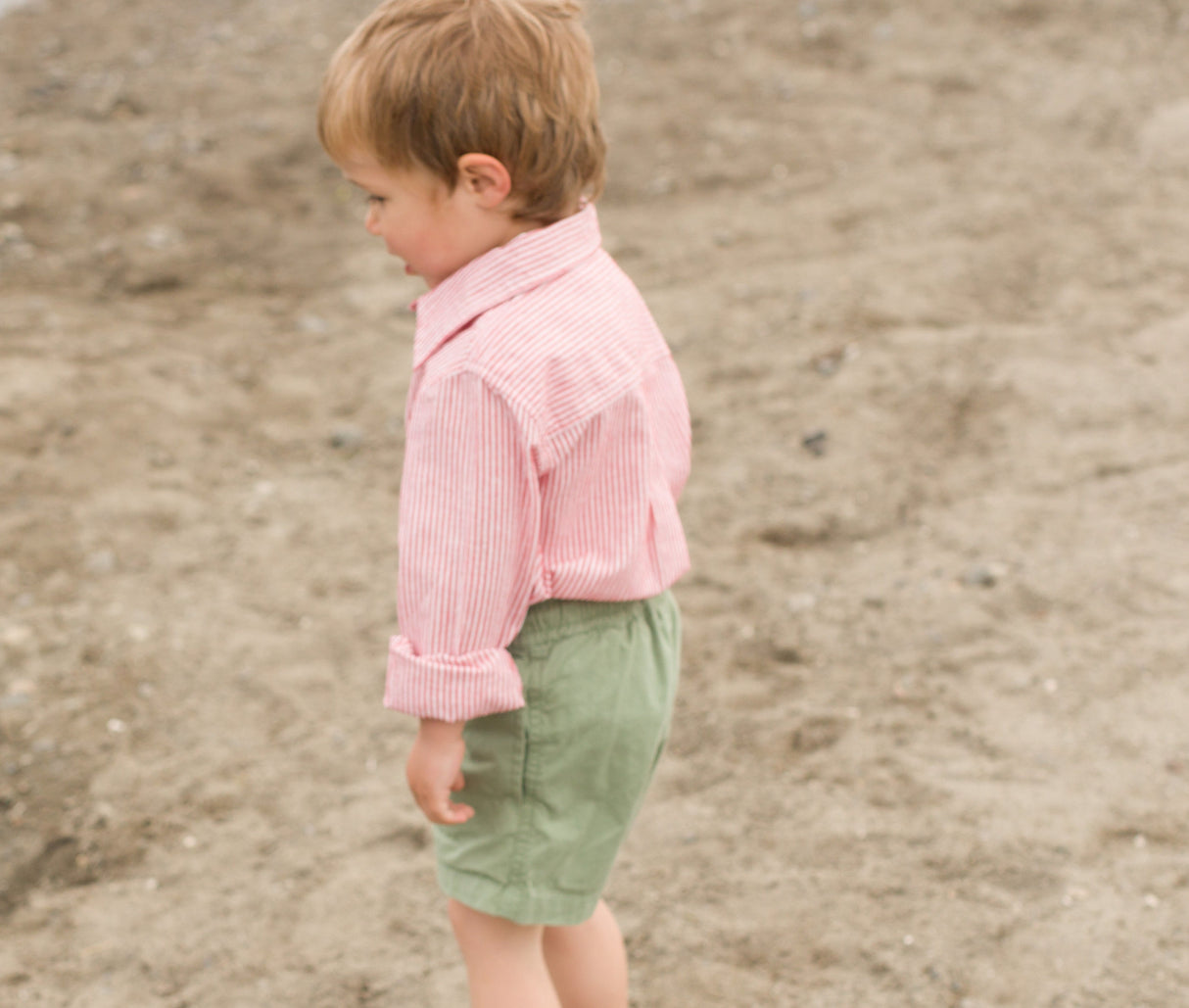 Boys Collar Shirt - Red Stripe - HoneyBug 