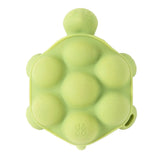 Slow Poke Turtle