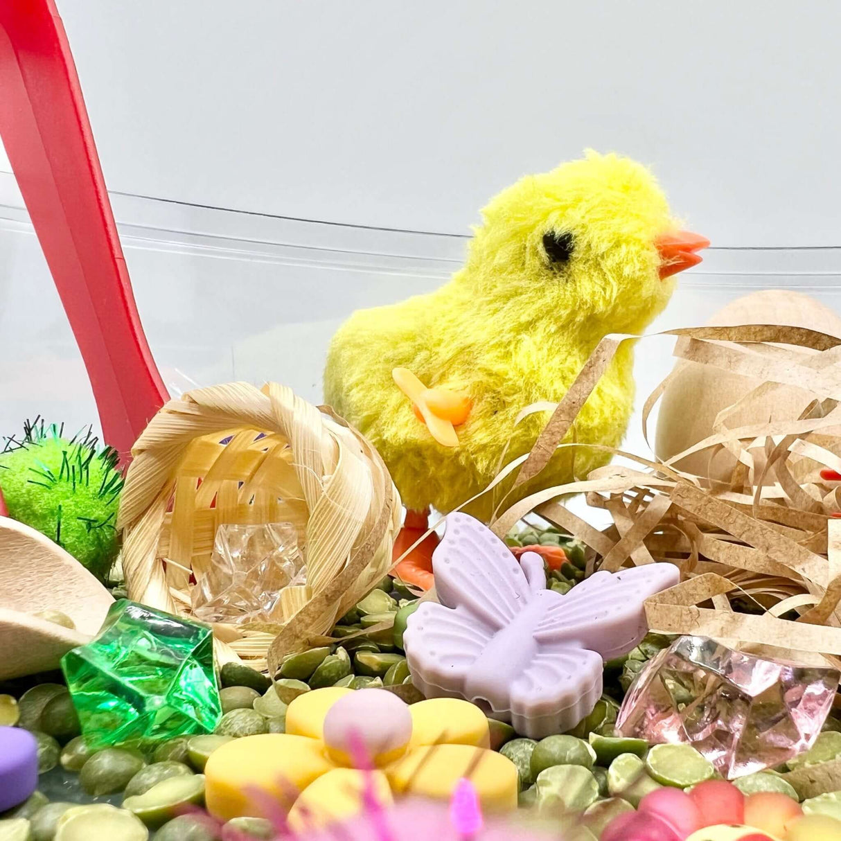 Spring Garden, Play Set with Lentils