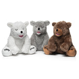 Little Bear - Stormy - HoneyBug 