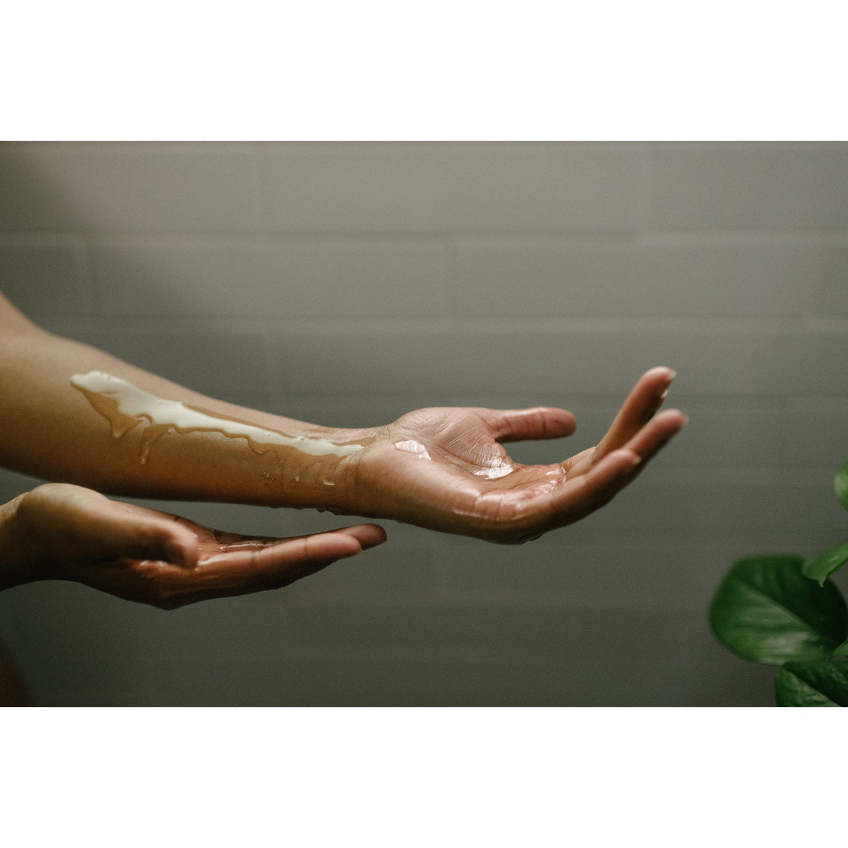 Juniper Artemisia Body Oil - HoneyBug 