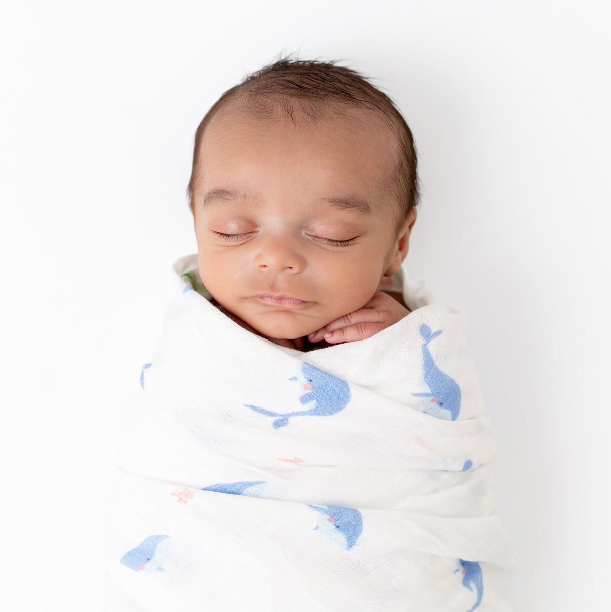 Whale Swaddle - HoneyBug 