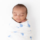Whale Swaddle - HoneyBug 