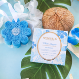 White Ginger | Hawaiian Buffer - HoneyBug 